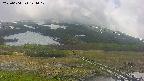 area1-20250604121018.jpg
