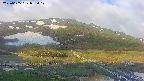 area1-20250605053018.jpg