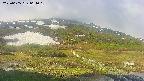 area1-20250605064020.jpg