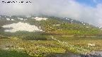 area1-20250605065018.jpg