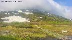 area1-20250605070023.jpg