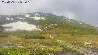 area1-20250605072020.jpg