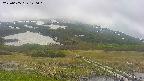 area1-20250605120018.jpg