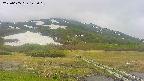 area1-20250605142016.jpg
