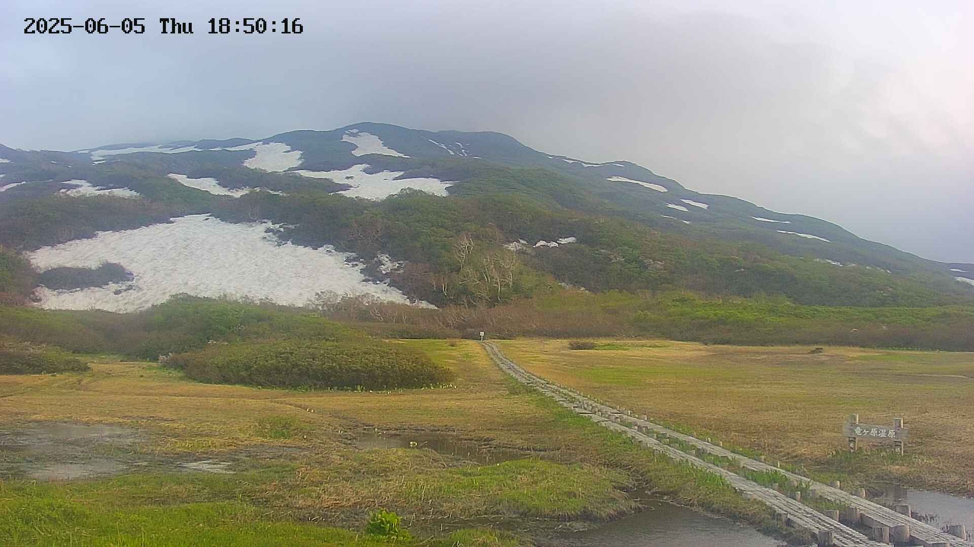 area1-20250605185018.jpg