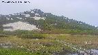 area1-20250606054017.jpg