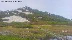 area1-20250606061018.jpg