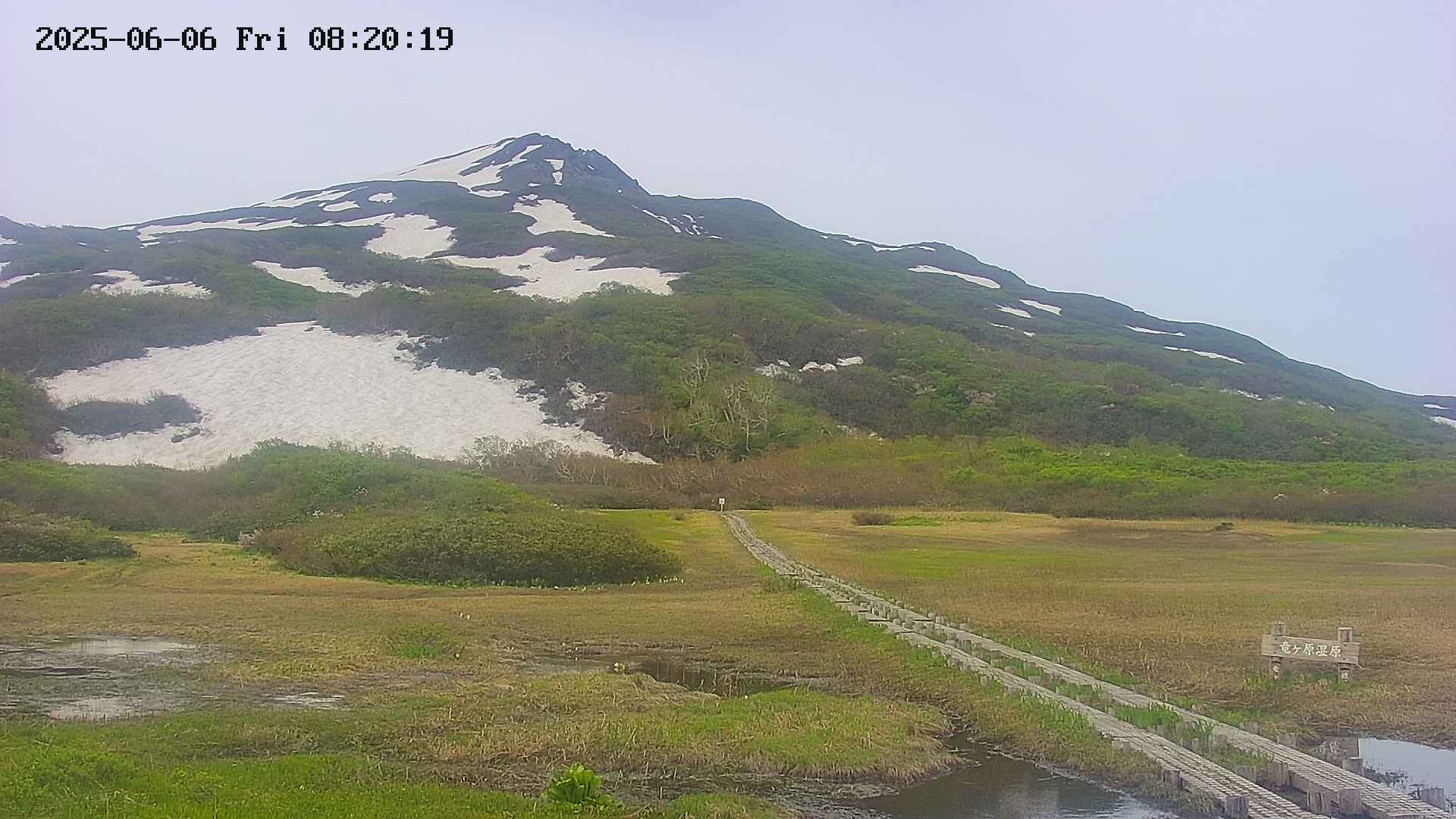 area1-20250606082020.jpg