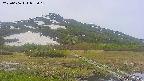 area1-20250606092017.jpg