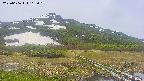 area1-20250606115019.jpg