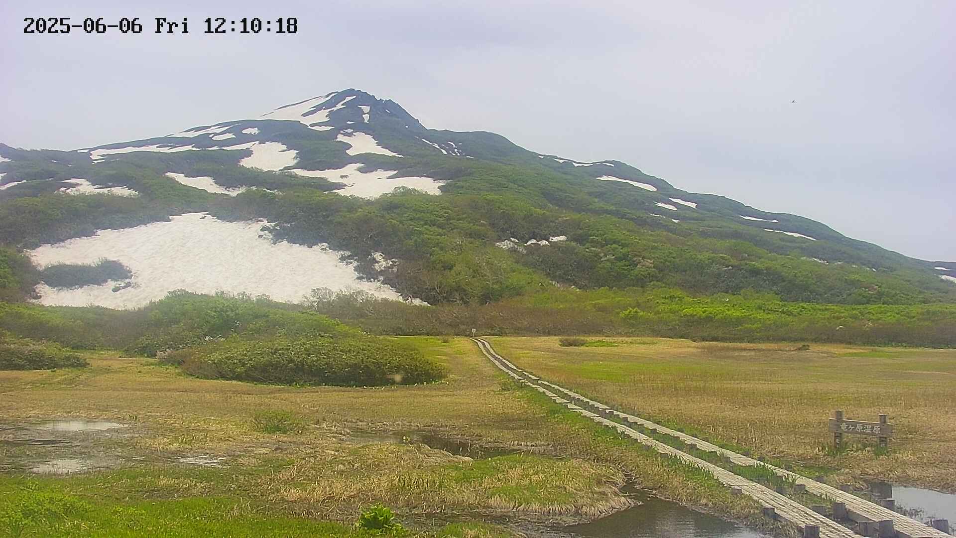 area1-20250606121019.jpg