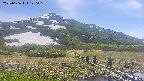 area1-20250606140019.jpg