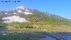 area1-20250607054017.jpg