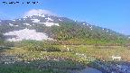 area1-20250607060019.jpg