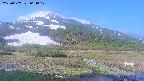 area1-20250607064018.jpg