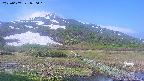 area1-20250607070019.jpg