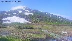 area1-20250607071018.jpg