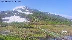 area1-20250607072017.jpg