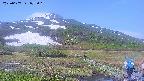area1-20250607073021.jpg