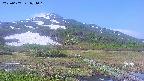 area1-20250607074021.jpg