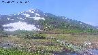 area1-20250607075020.jpg