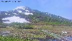 area1-20250607080022.jpg