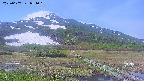 area1-20250607081016.jpg