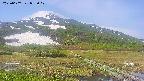 area1-20250607082019.jpg