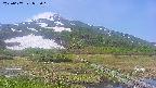 area1-20250607083018.jpg