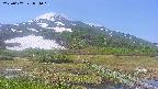 area1-20250607084018.jpg