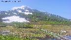 area1-20250607085019.jpg
