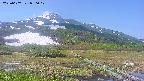 area1-20250607090019.jpg