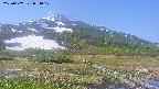 area1-20250607091018.jpg
