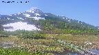 area1-20250607092020.jpg