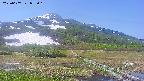 area1-20250607093020.jpg