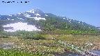 area1-20250607094019.jpg