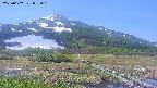 area1-20250607095020.jpg