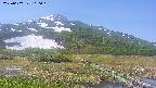 area1-20250607100020.jpg