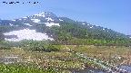 area1-20250607102021.jpg