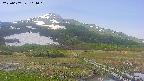 area1-20250607104020.jpg