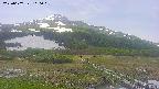 area1-20250607110019.jpg