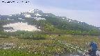 area1-20250607112020.jpg