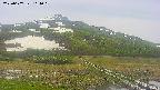 area1-20250607114019.jpg