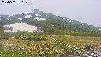 area1-20250607115022.jpg