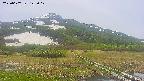 area1-20250607122018.jpg