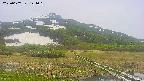 area1-20250607124017.jpg
