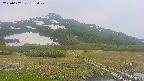 area1-20250607135021.jpg