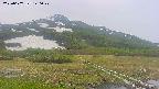area1-20250607140021.jpg
