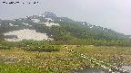 area1-20250607142017.jpg