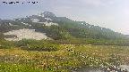 area1-20250607160020.jpg